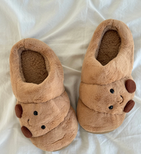 Snoozie Slippers