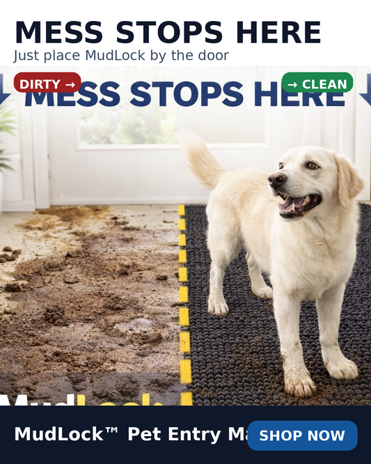 Non-slip Ultra-absorbent Machine-washable Pet Mat